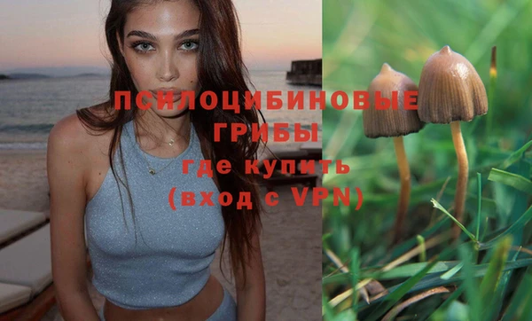 дурь Беломорск